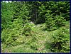 120608b_foto_009.jpg