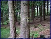 120608b_foto_010.jpg
