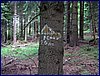 120608b_foto_011.jpg