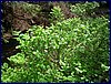 120608b_foto_013.jpg