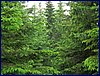 120608b_foto_017.jpg