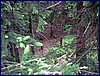 120608b_foto_018.jpg