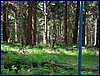 120608b_foto_022.jpg