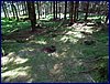 120608b_foto_023.jpg