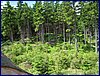 120608b_foto_026.jpg