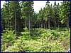 120608b_foto_027.jpg