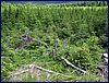 120608b_foto_028.jpg