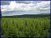 120608b_foto_029.jpg