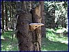 120608b_foto_043.jpg