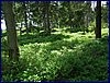 120608b_foto_044.jpg