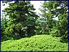 120608b_foto_052.jpg