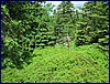 120608b_foto_054.jpg