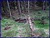 120608b_foto_059.jpg