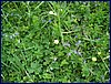 120608b_foto_065.jpg