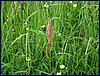 120608b_foto_078.jpg