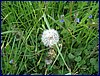 120608b_foto_079.jpg