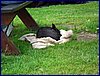 120608b_foto_084.jpg