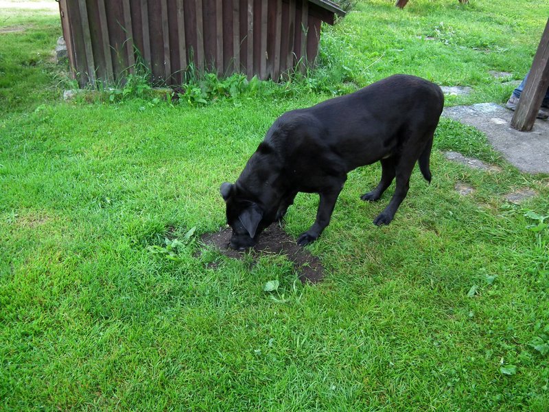 120609b_foto_019.jpg