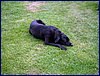 120609b_foto_006.jpg