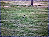 120609b_foto_007.jpg