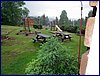 120609b_foto_015.jpg