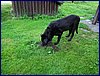 120609b_foto_019.jpg