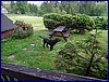 120609b_foto_024.jpg