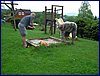 130602_foto_061.jpg