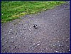 130605_foto_002.jpg