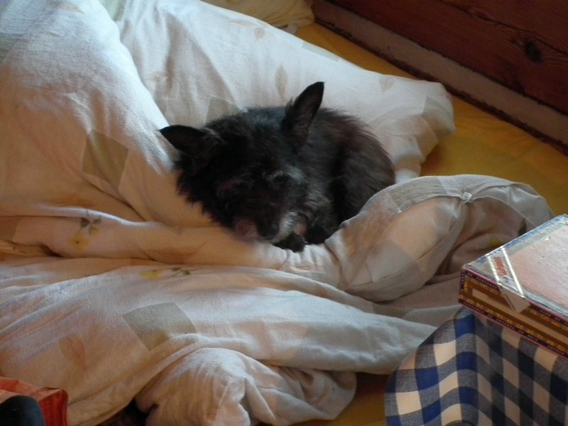 130606_foto_031.jpg