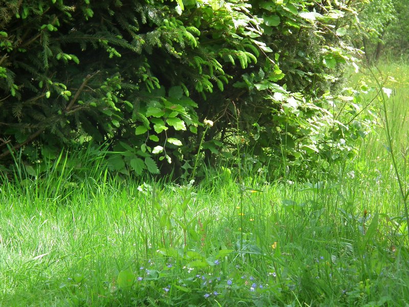 130608_foto_024.jpg