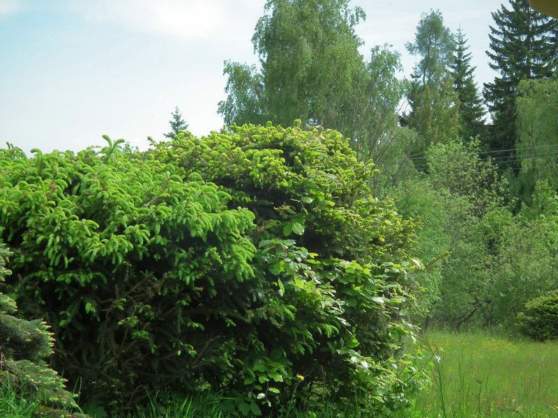 130608_foto_025.jpg