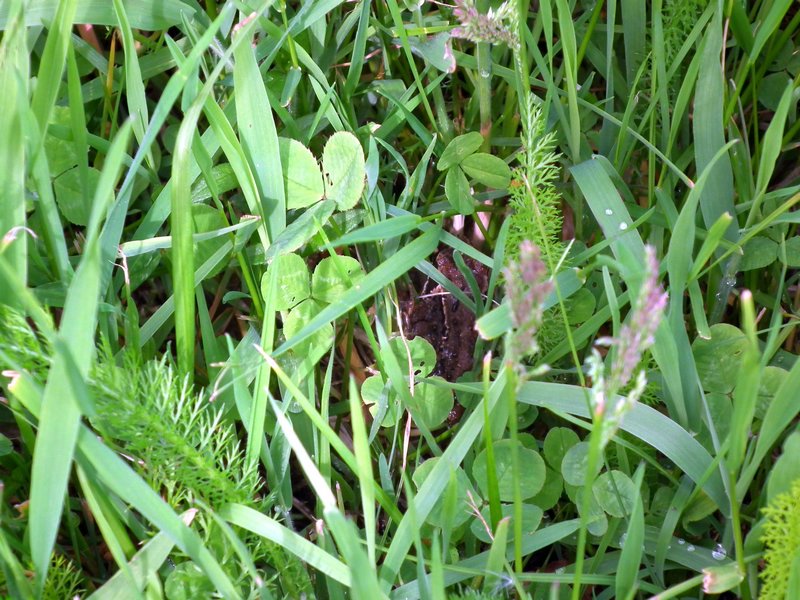 130608_foto_028.jpg