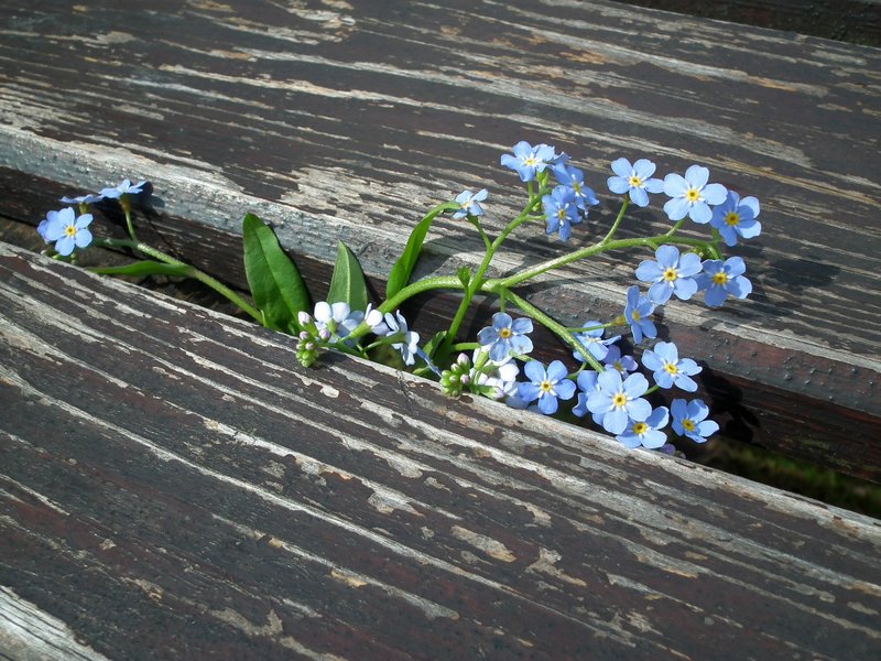 130608_foto_040.jpg