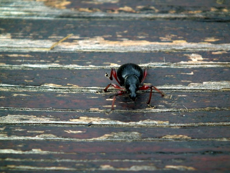 130608_foto_047.jpg