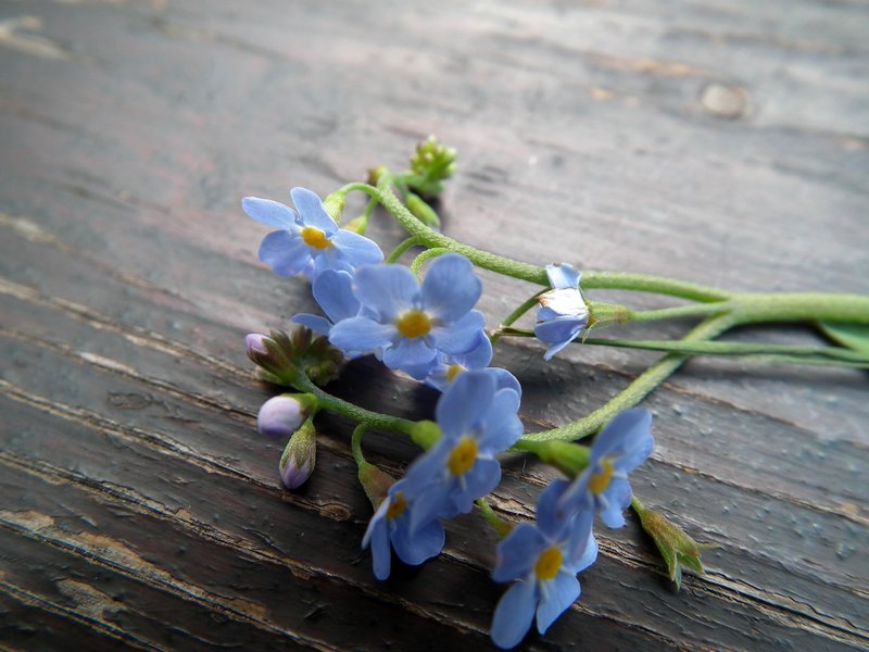 130608_foto_050.jpg