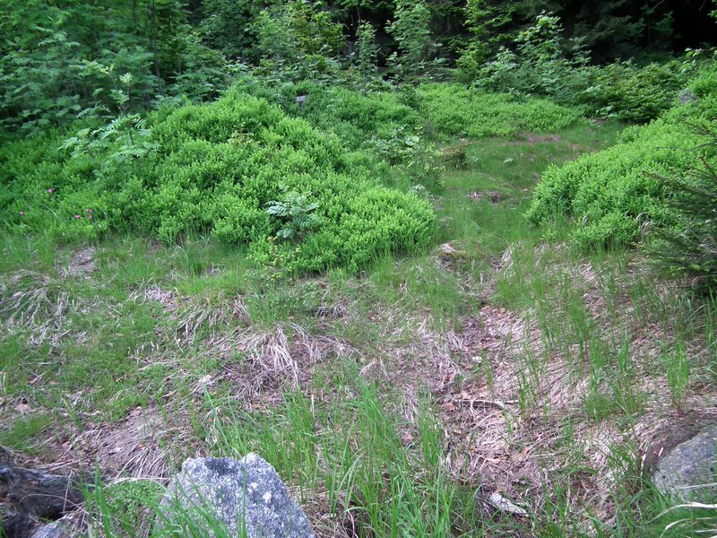130608_foto_072.jpg