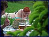 130608_foto_009.jpg