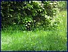 130608_foto_024.jpg