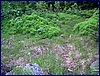 130608_foto_072.jpg
