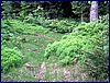 130608_foto_073.jpg