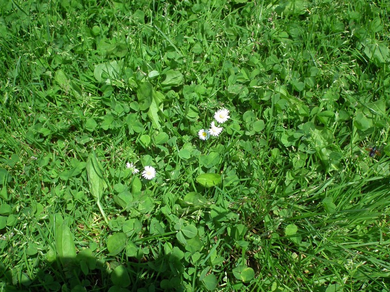 140601_foto_011.jpg
