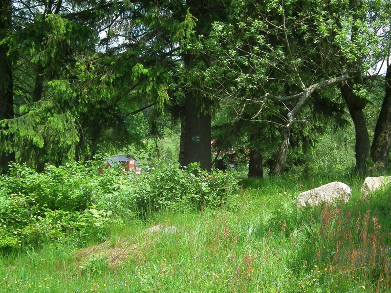 140601_foto_022.jpg