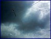 140602_foto_014.jpg