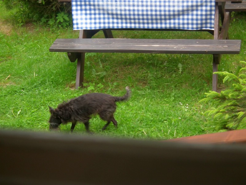140605_foto_001.jpg