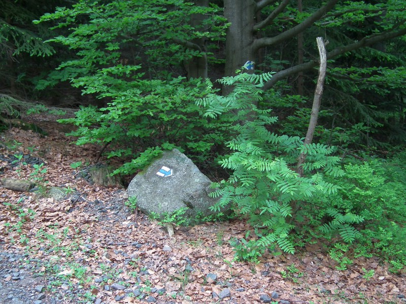 140605_foto_004.jpg