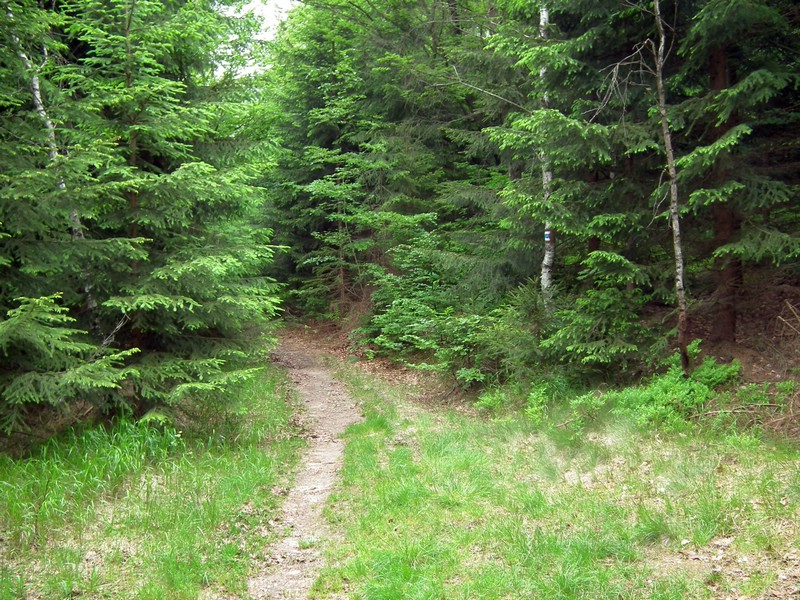 140605_foto_005.jpg