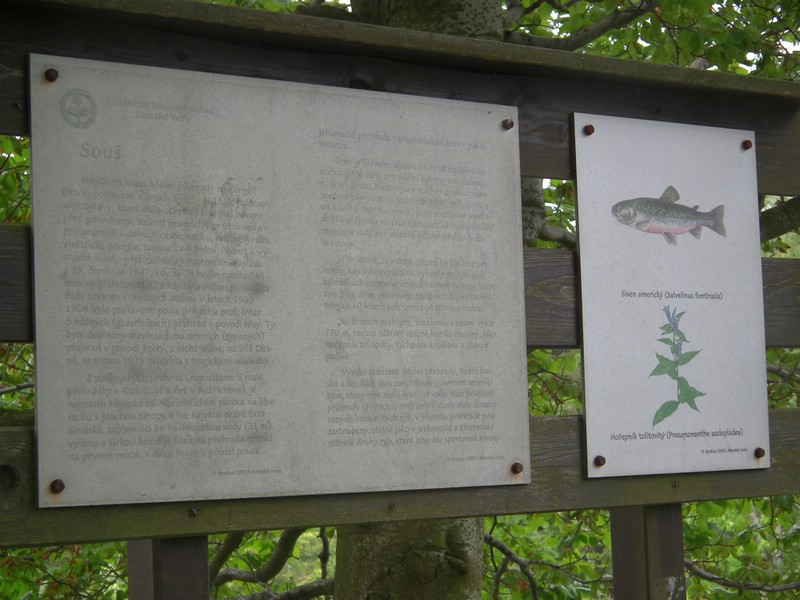 140605_foto_020.jpg
