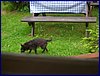 140605_foto_001.jpg