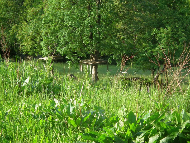 140606_foto_011.jpg